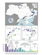 Nationwide conflict damage mapping with interferometric synthetic aperture radar: A study of the 2022 Russia-Ukraine conflict